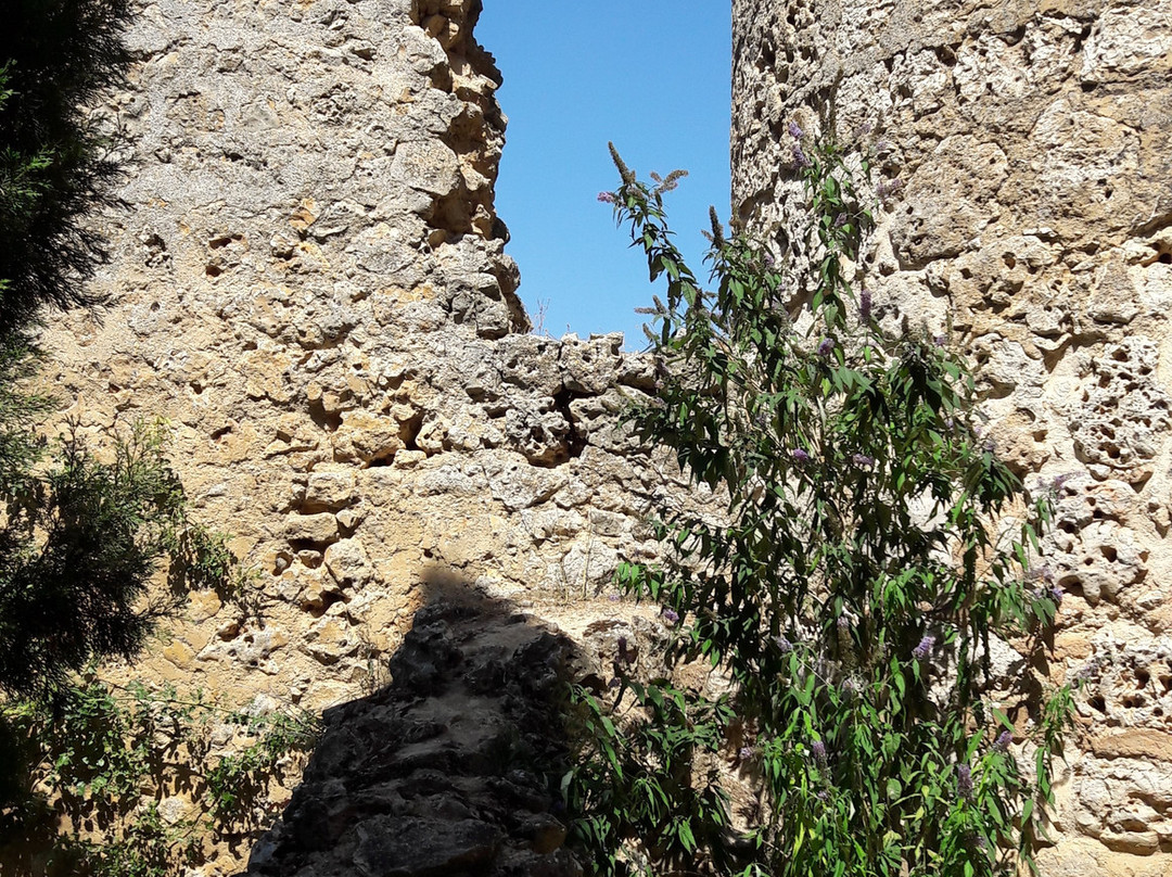 Castillo de Uruena景点图片