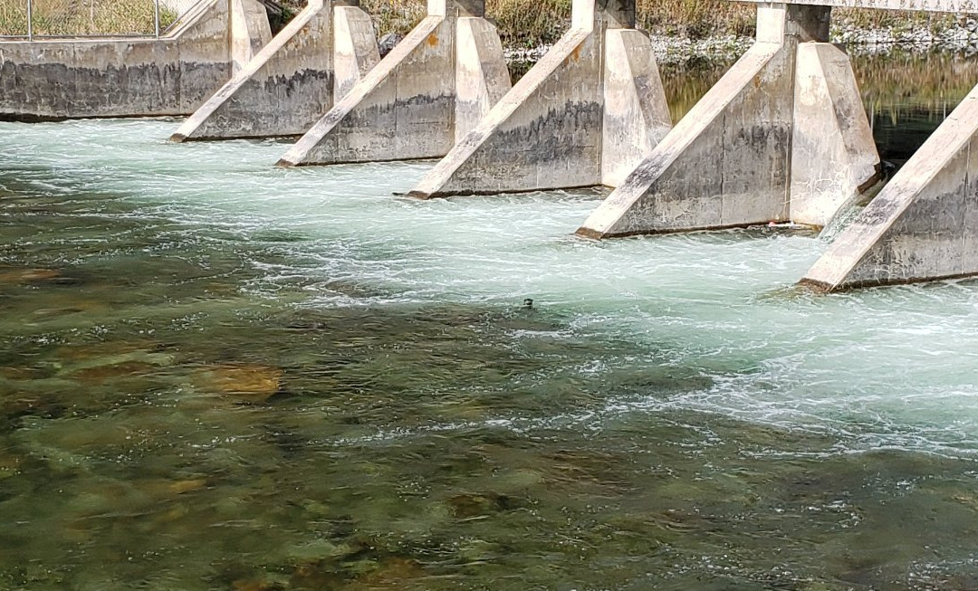 Okanagan Falls Provincial Park景点图片