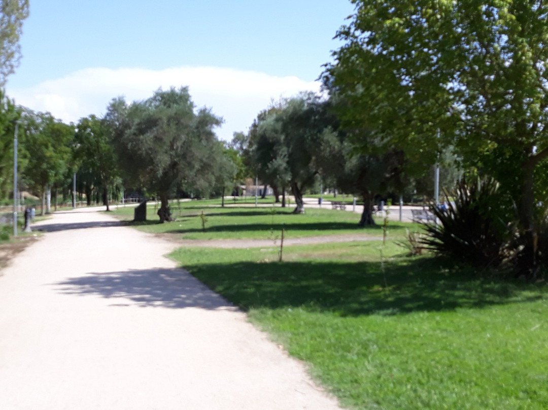 Molino de Pancaliente景点图片