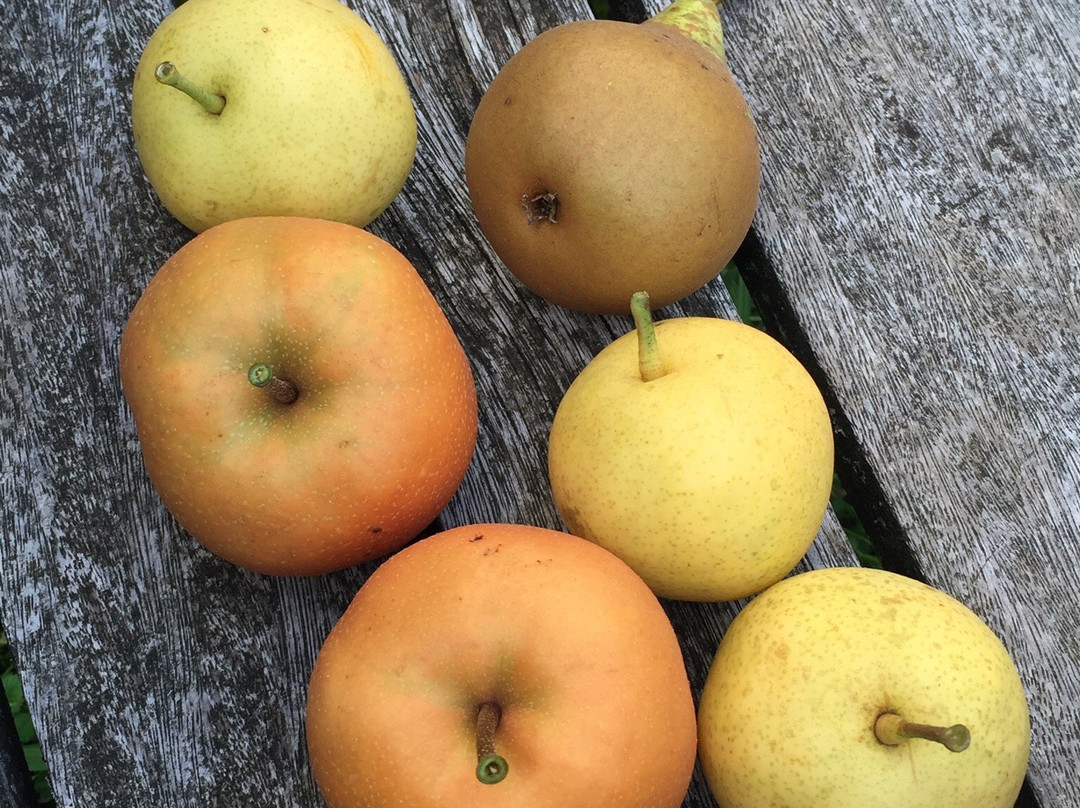 Casa Rural Goiena主图