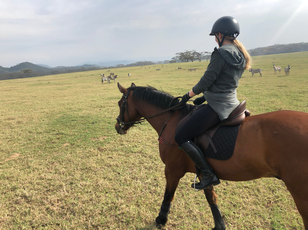 Bellafrica Journeys - Horse Riding Safari-奈瓦夏必去景点