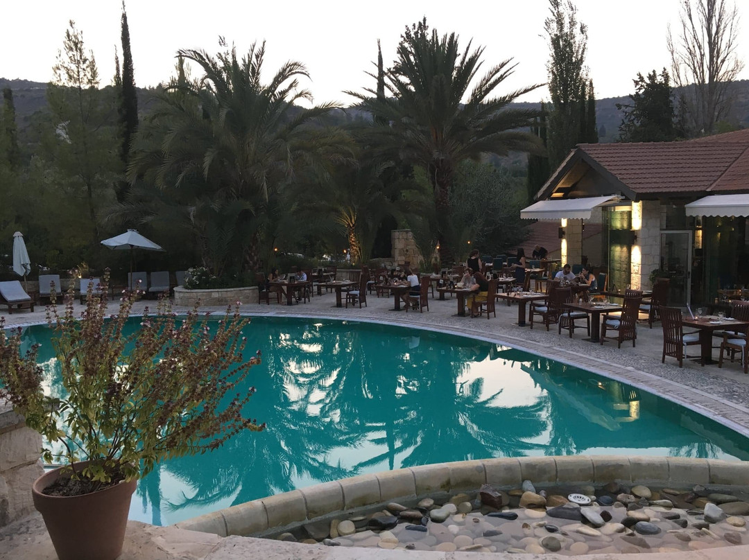 Ayii Anargyri Natural Healing Spa Resort主图