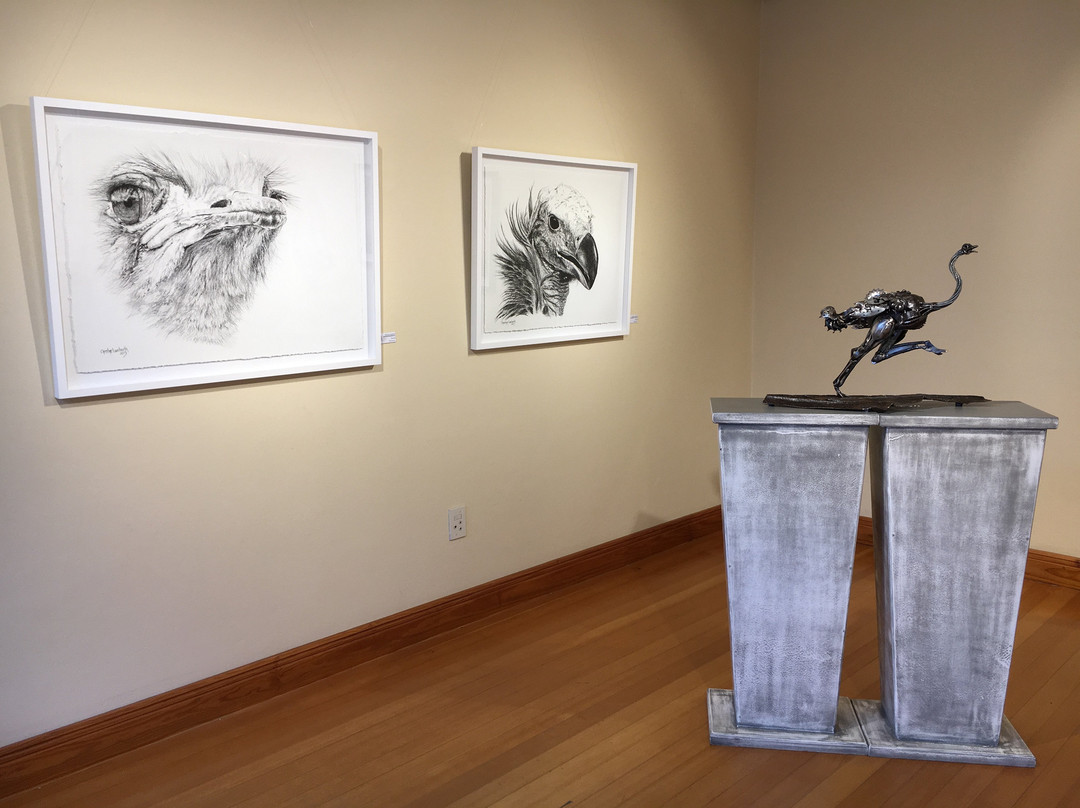 Fine Art Gallery-斯瓦科普蒙德必去景点