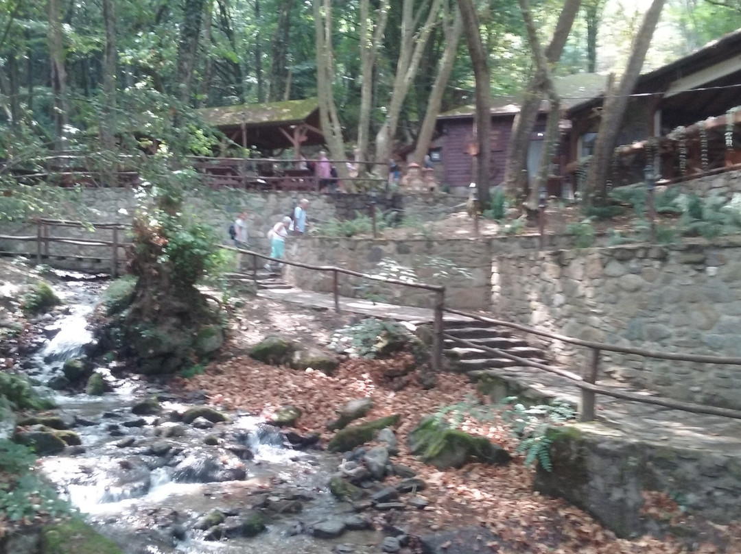 Smolari Falls-Smolari必去景点