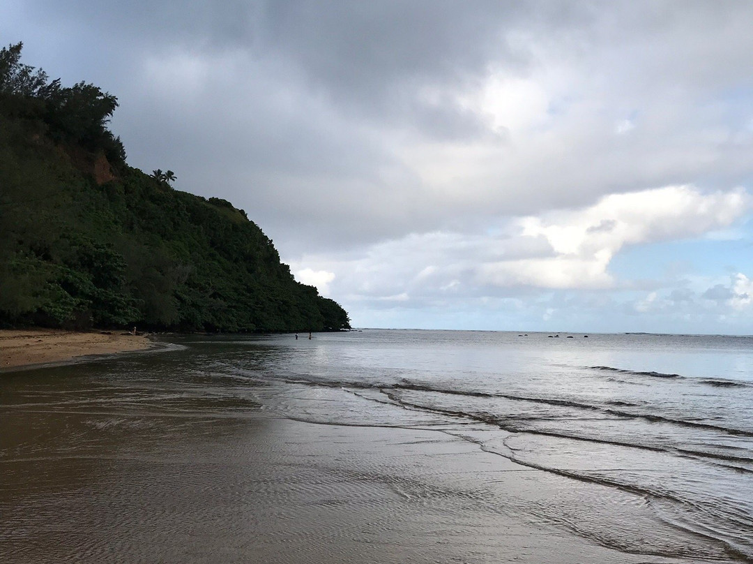 Wyllie's Beach-基拉韦厄必去景点