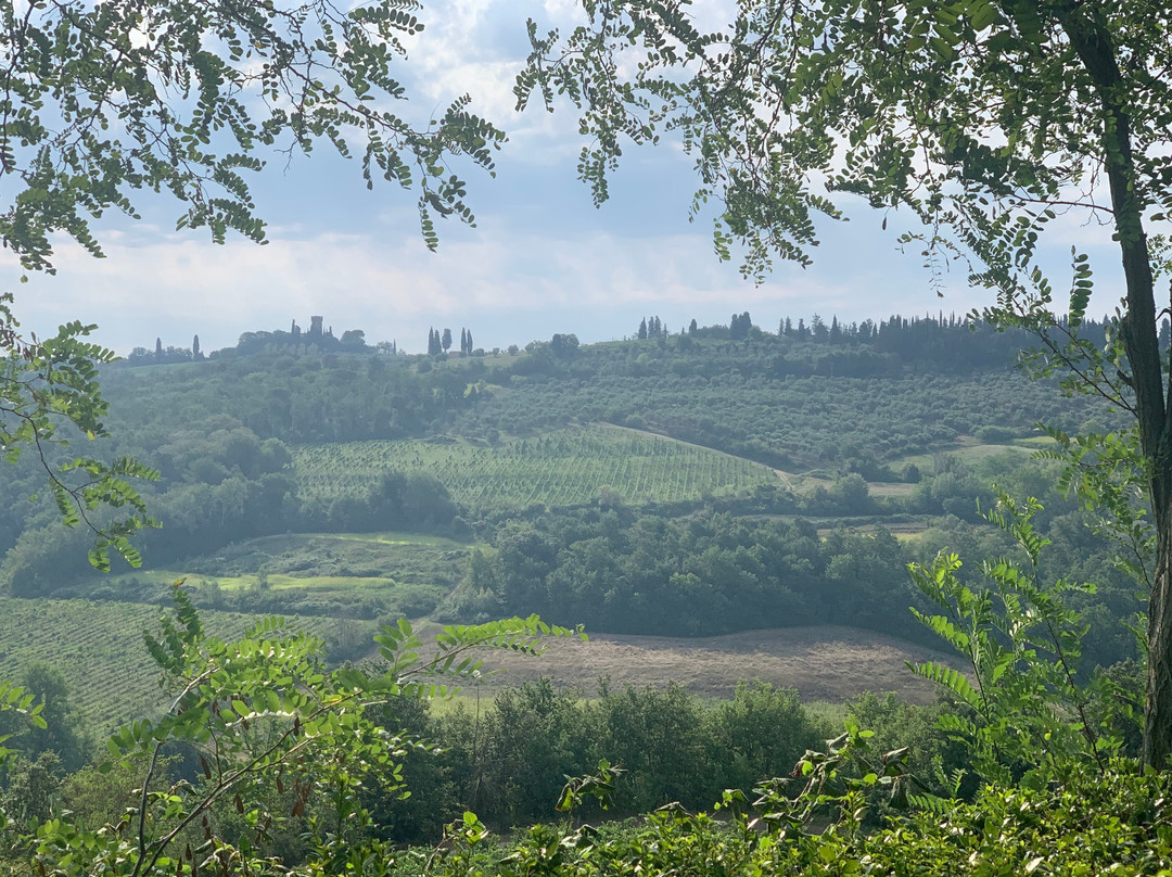 Podere Villa Bassa