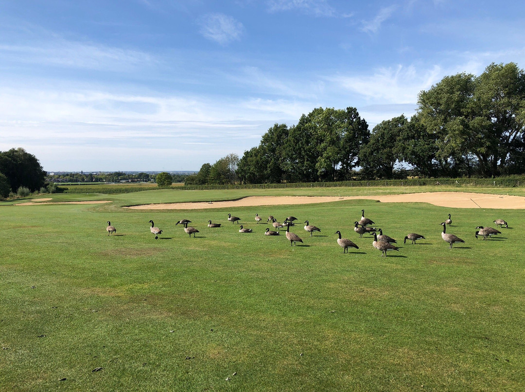 Golfcourse Het Rijk van Margraten景点图片