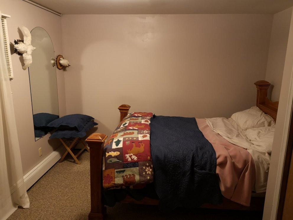 Fox 'n Fireweed Cabins主图