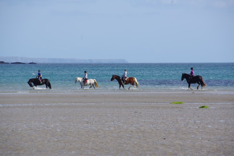 Tremenheere Riding Stables景点图片