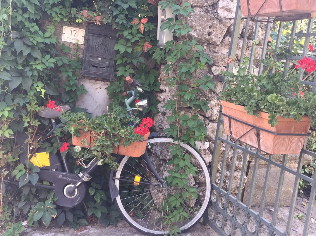 妮多维德酒店主图