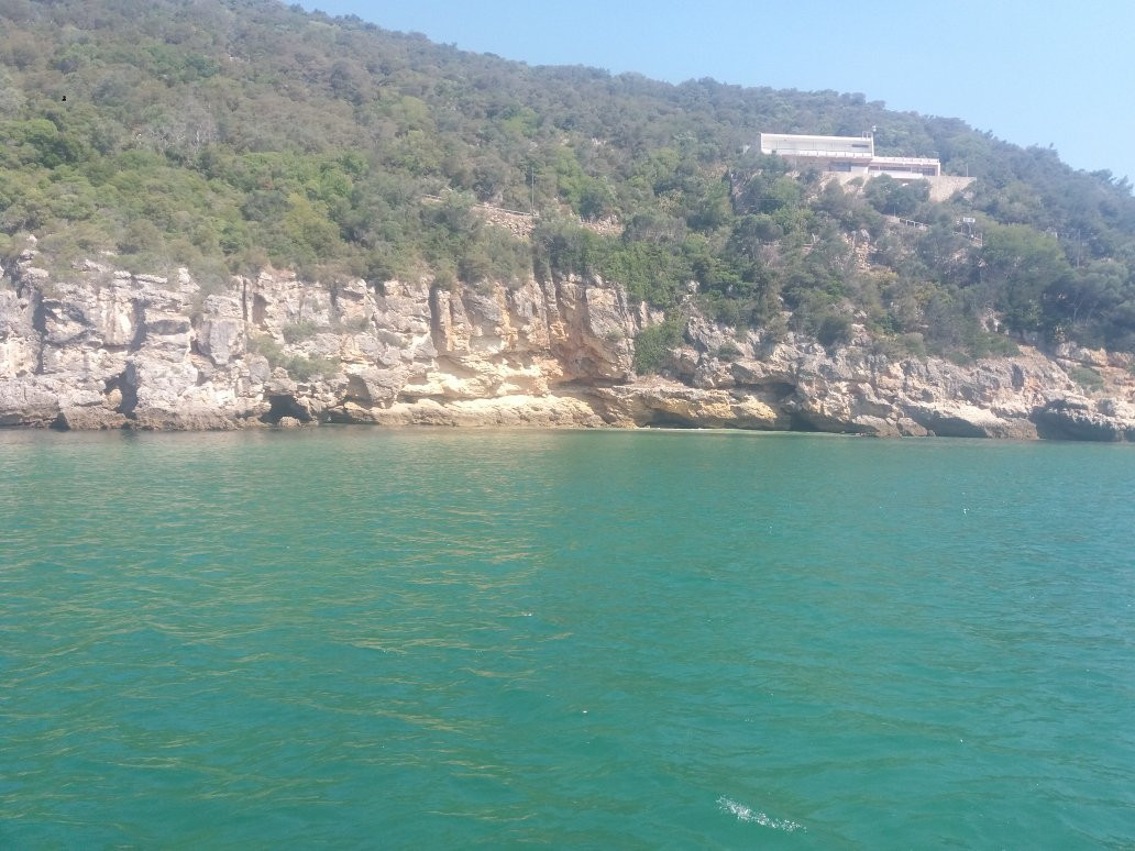 Boat Koncept景点图片