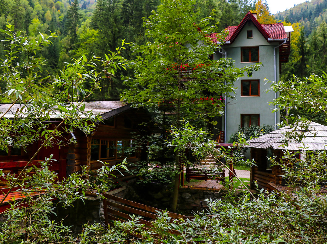Paradise Valley - Valea Paradisului Pension主图