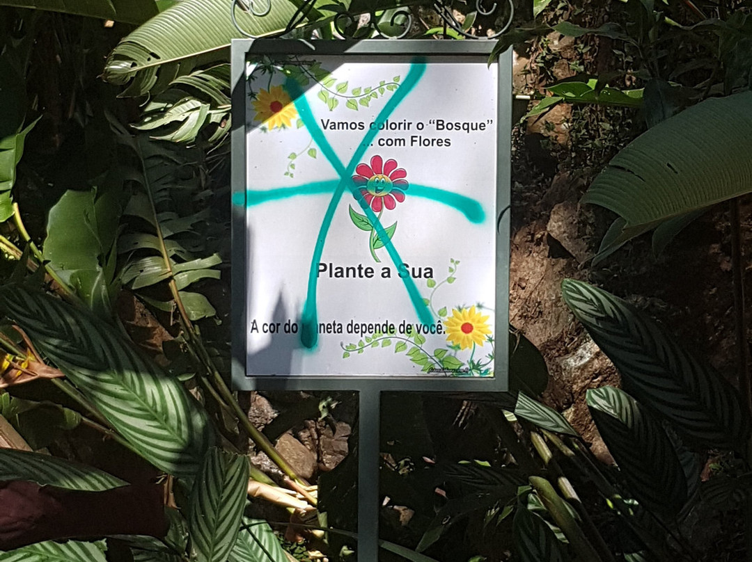 Bosque Zequinha de Abreu-阿瓜斯迪林多亚必去景点