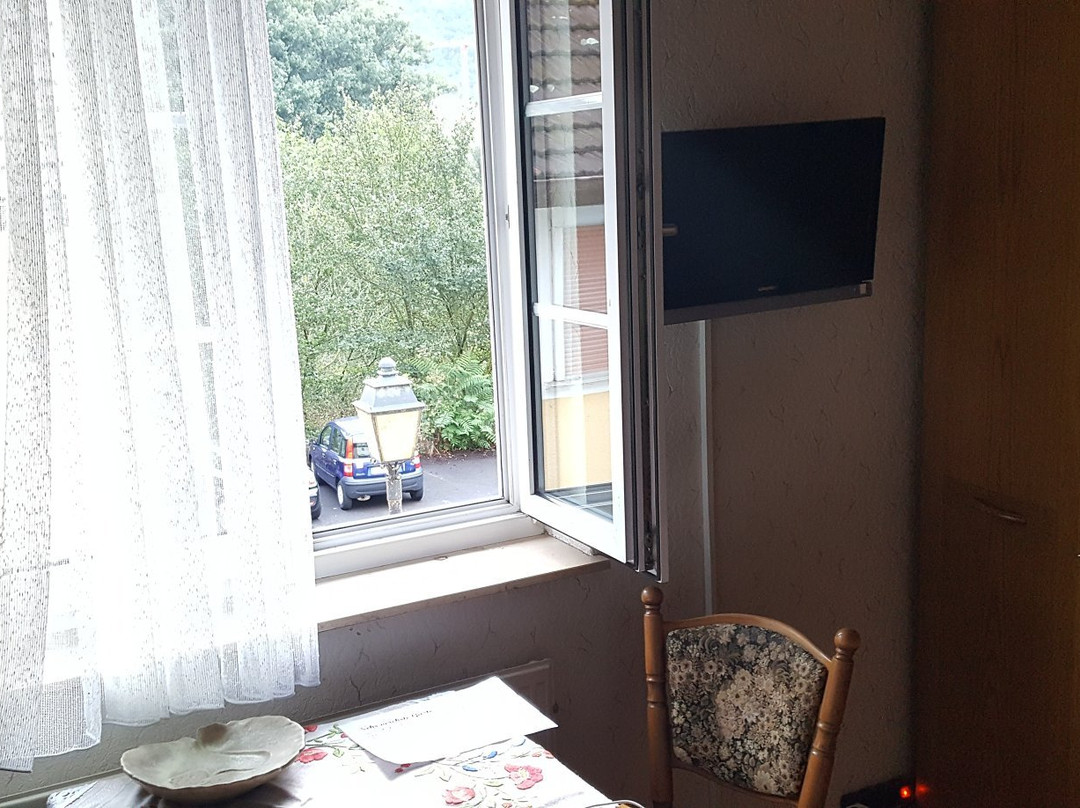 Zum Schlossgarten