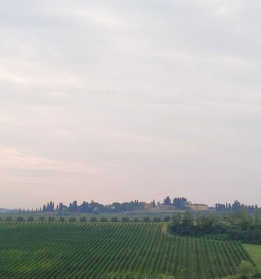 Agriturismo Colleverde主图