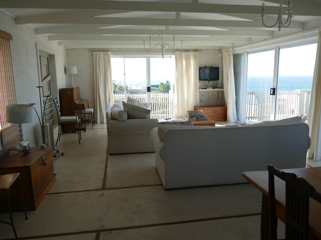 The Flying Penguin主图