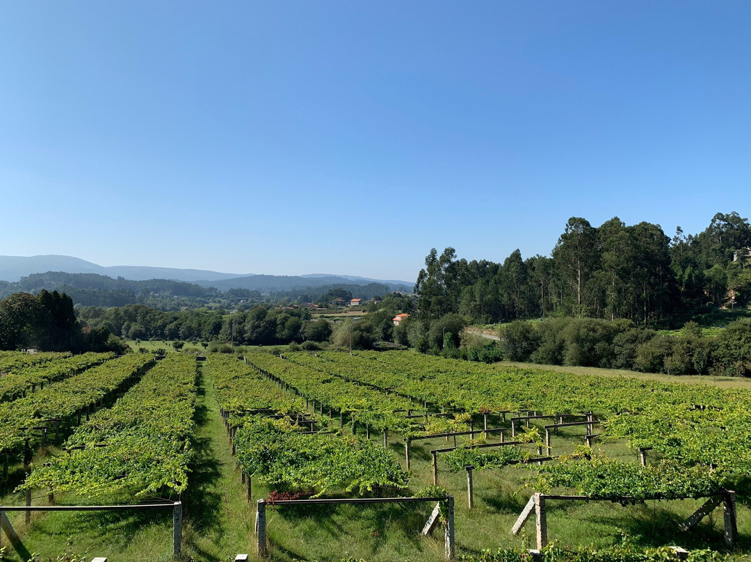 Pazo Baión景点图片