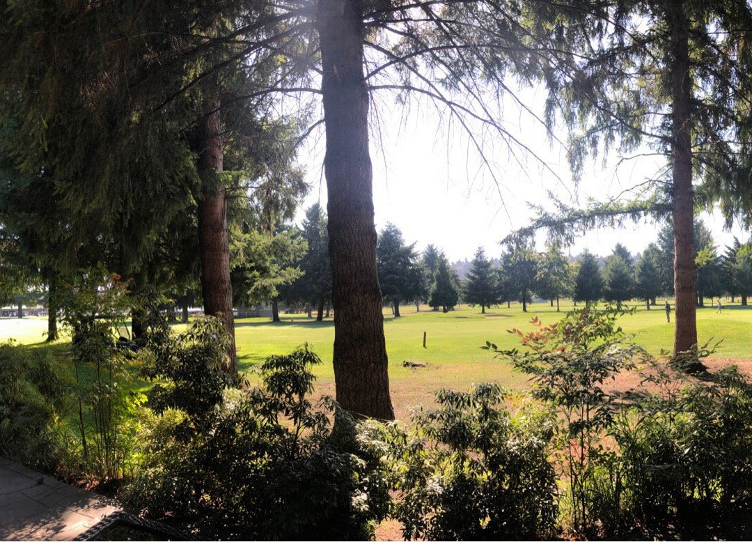 Best Western Plus Plaza By The Green主图