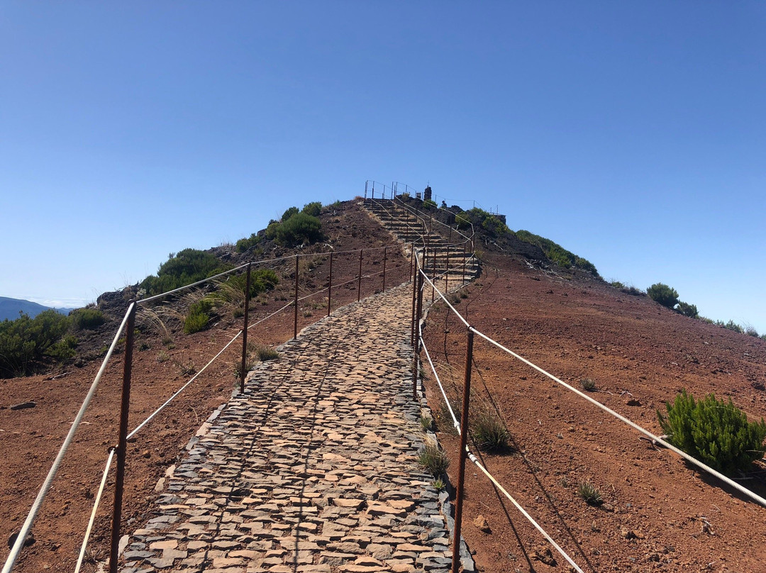 Pico Ruivo do Paul da Serra景点图片