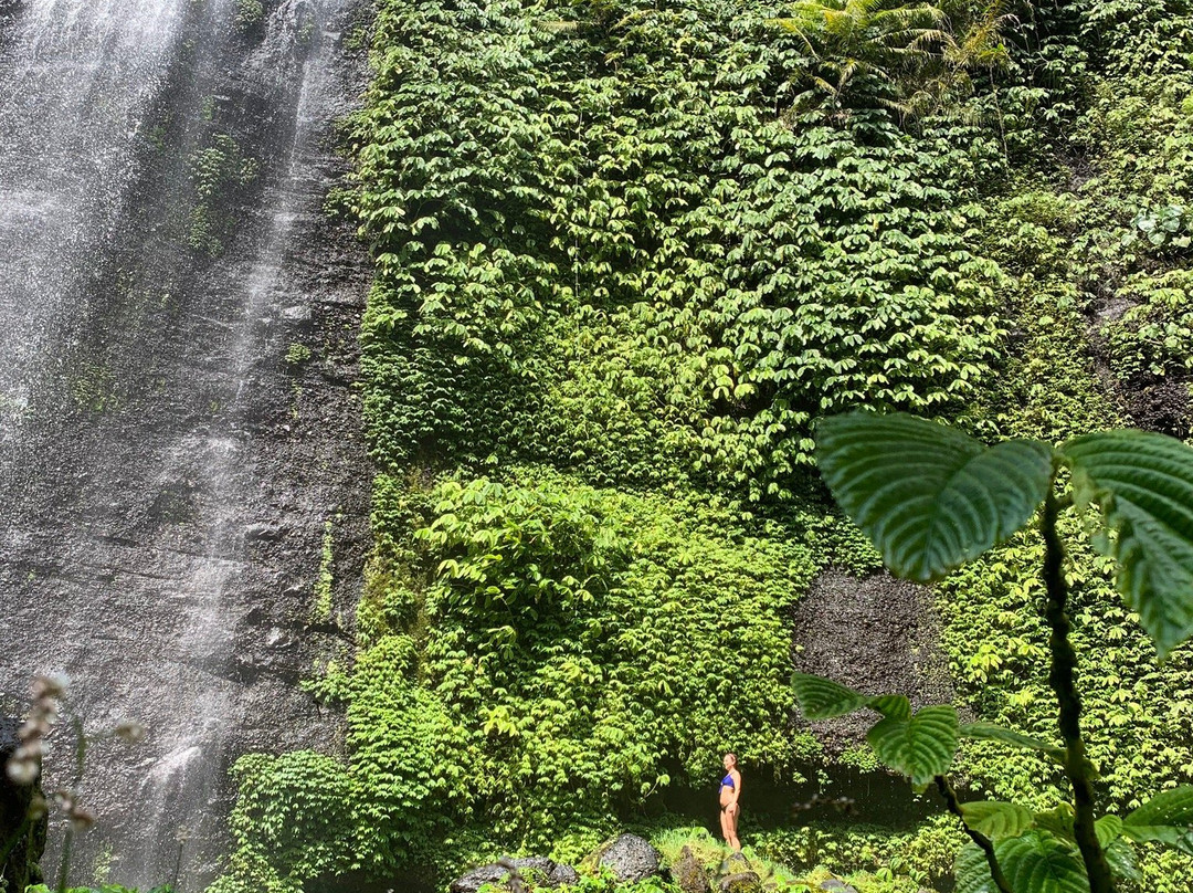 Lemukih Waterfall景点图片