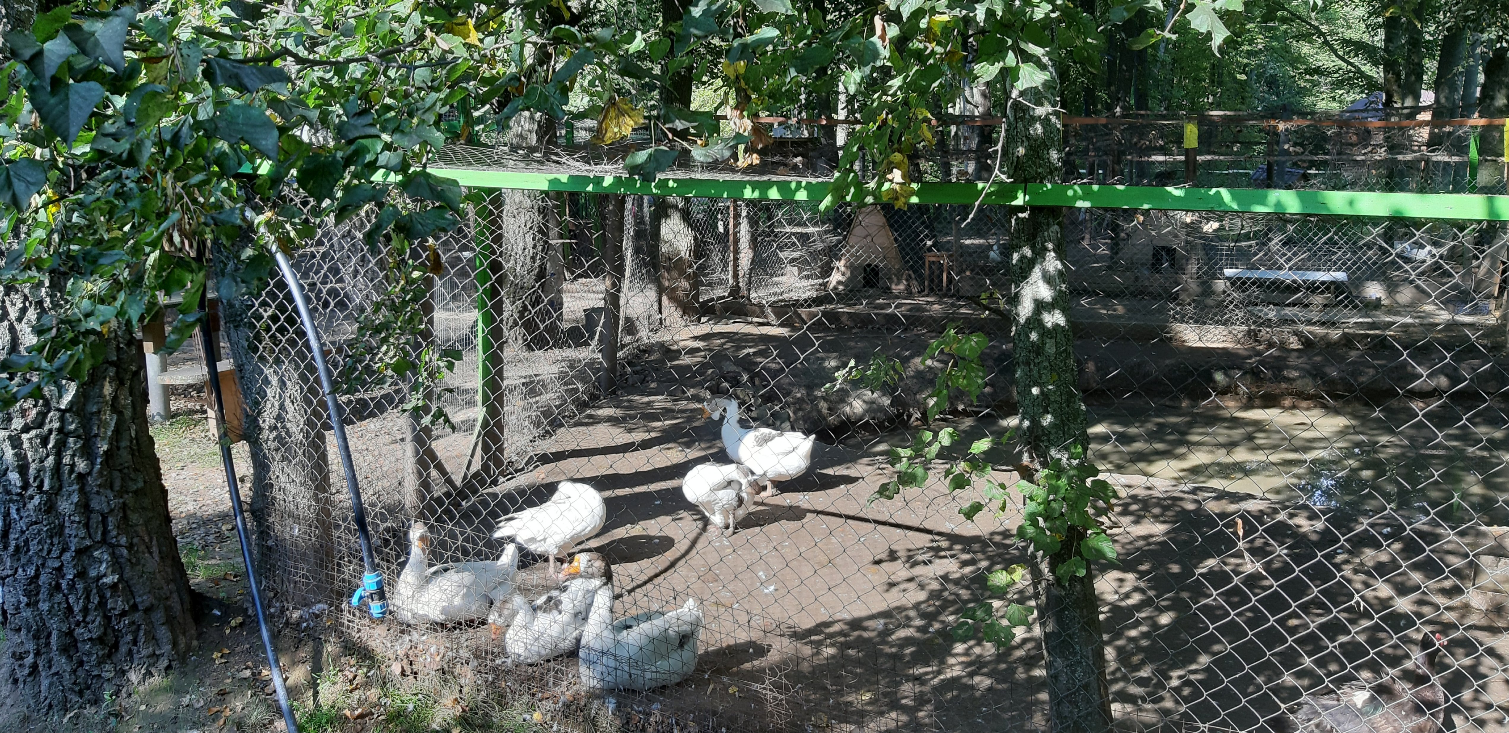 Serebryaniy Vek Hotel-浴室