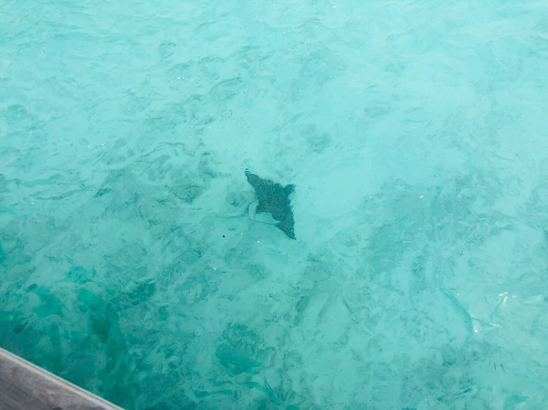 Hulhudheli Inn主图