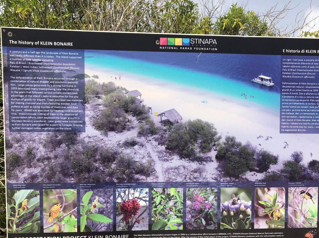 Klein Bonaire景点图片