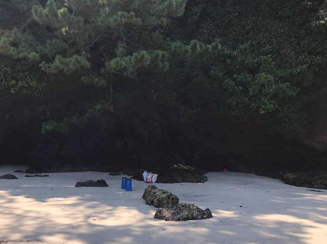 Kaki no Hama Beach景点图片