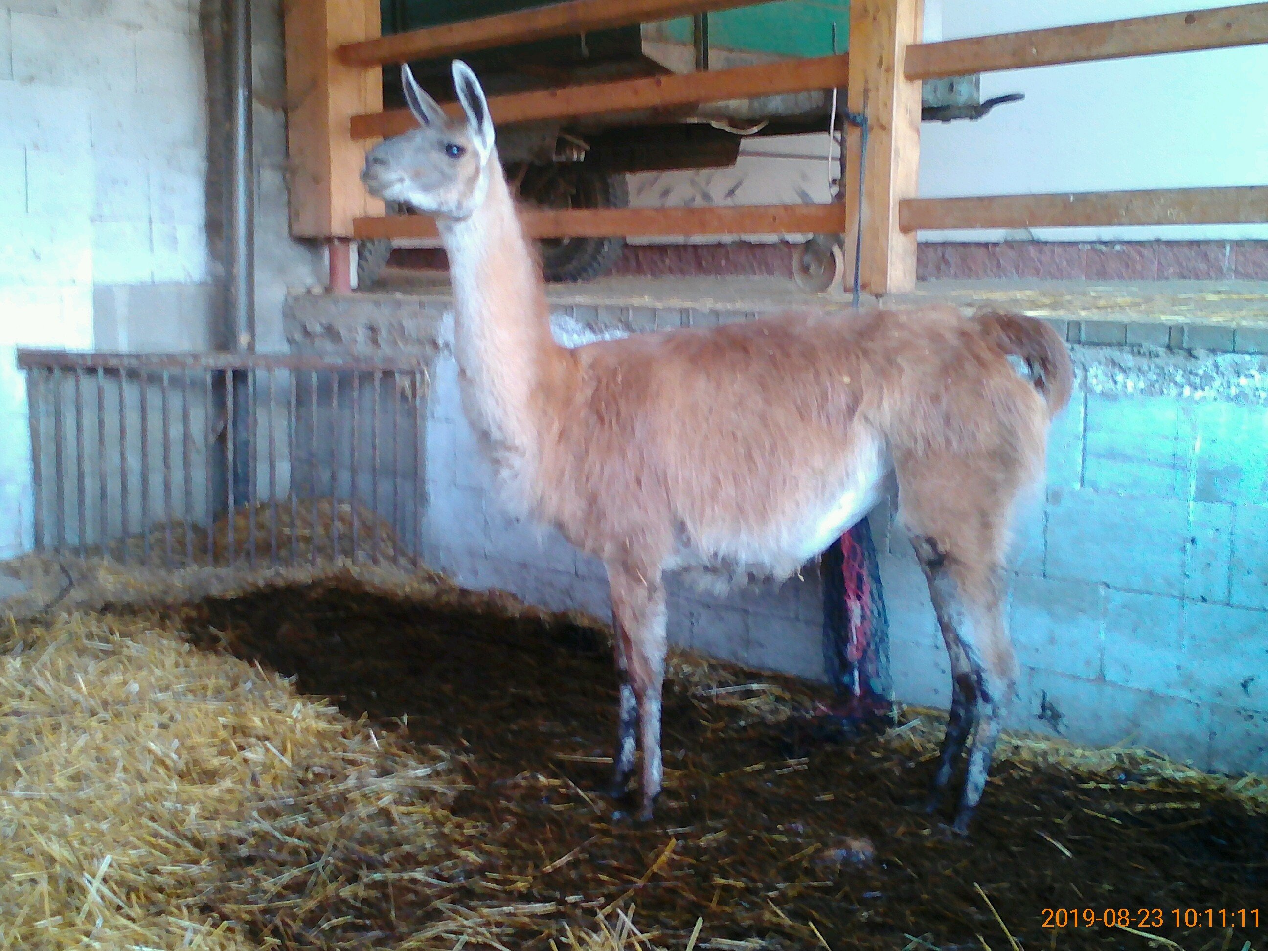 Hospodarsky Dvur Bohuslavice-官方