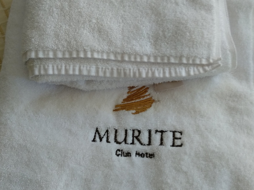 Murite Park Hotel主图