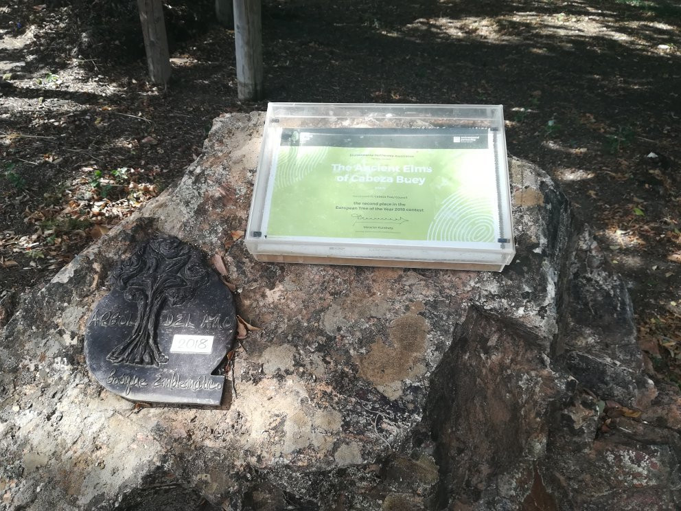 Ermita de Nuestra Senora de Belen-Cabeza del Buey必去景点