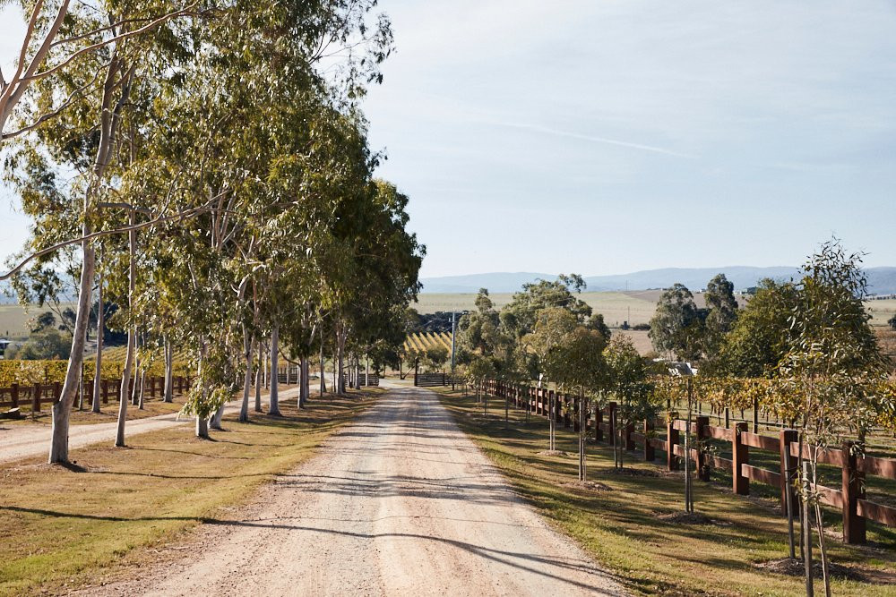 Zonzo Estate-亚拉格林必去景点