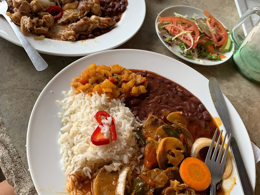 4x4 Trippin Offroad Costa Rica - Day Adventures-Playas del Coco必去景点