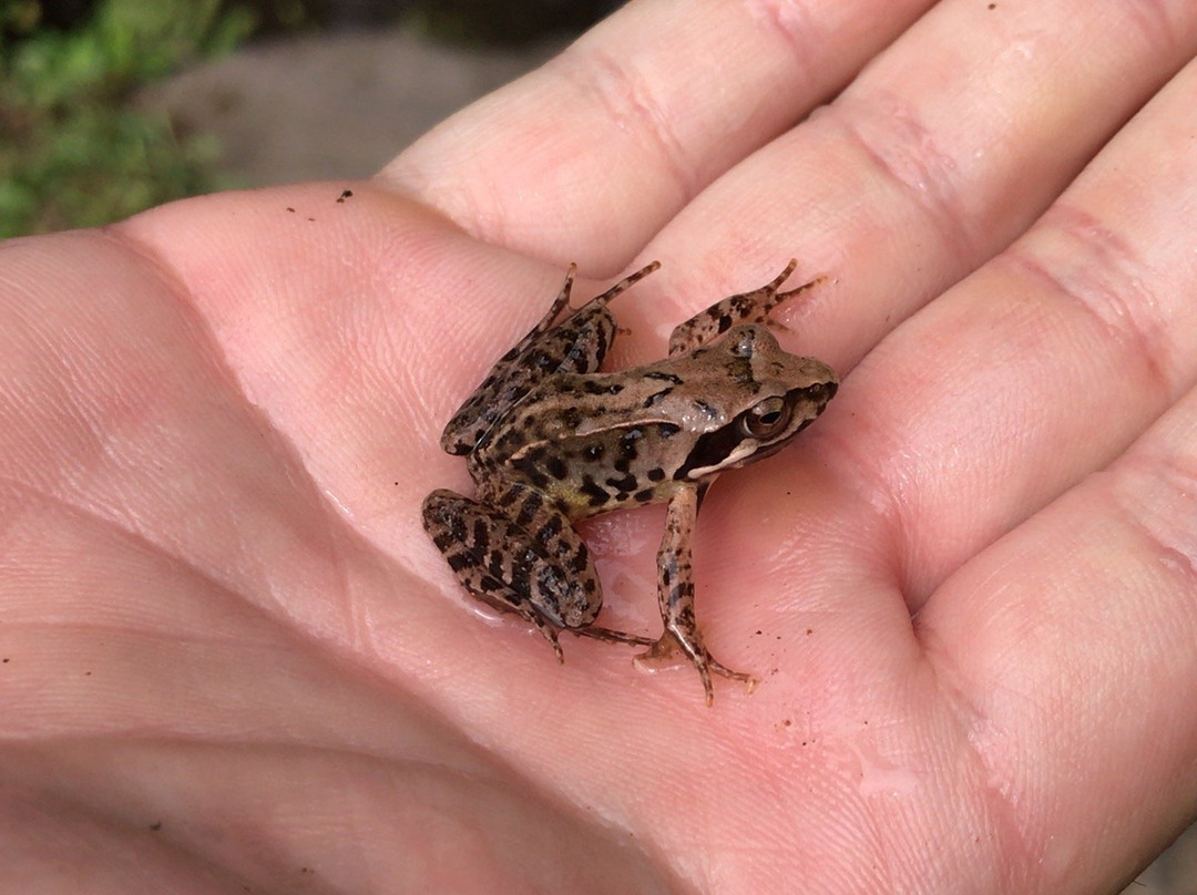 Tsunan Midama Park-津南町必去景点