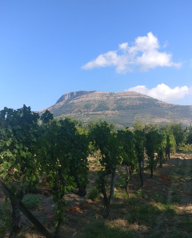 Agriturismo La Vecchia Quercia主图