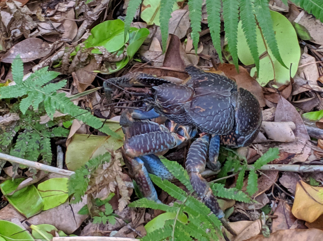 Hatomajima Lighthouse-竹富町鸠间岛必去景点