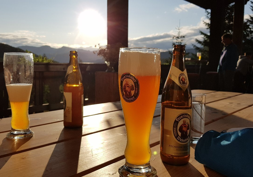 锡尔尼兹酒店住宿-Gasthof Alpl