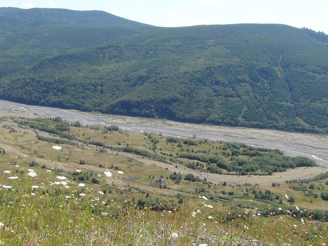 Toutle River景点图片