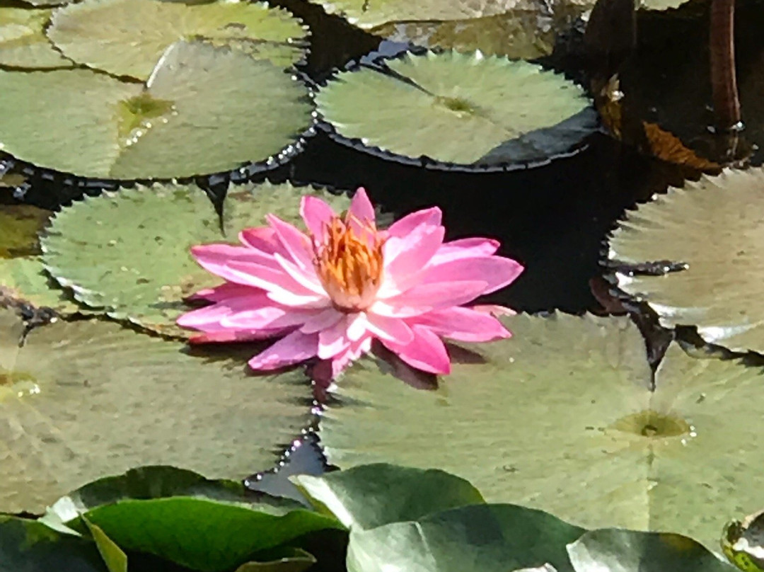 萨卡威度假酒店主图