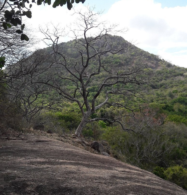 Rajagiri Kanda Caves景点图片
