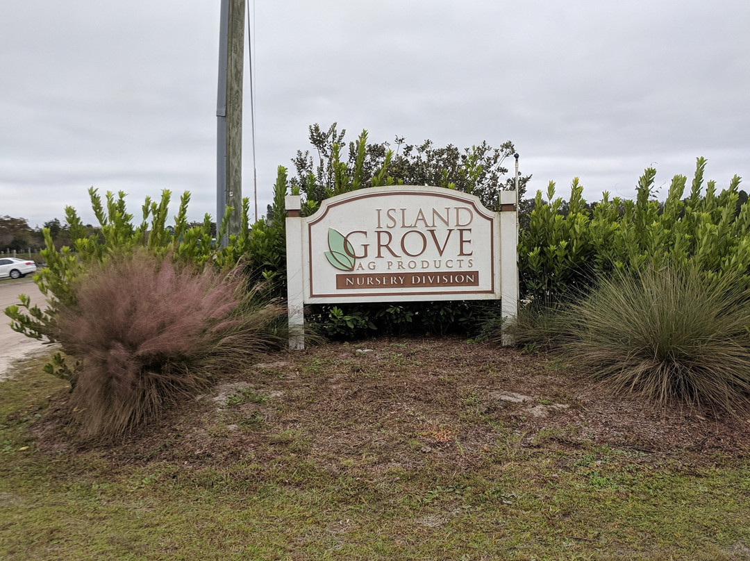 Island Grove Winery-Hawthorne必去景点