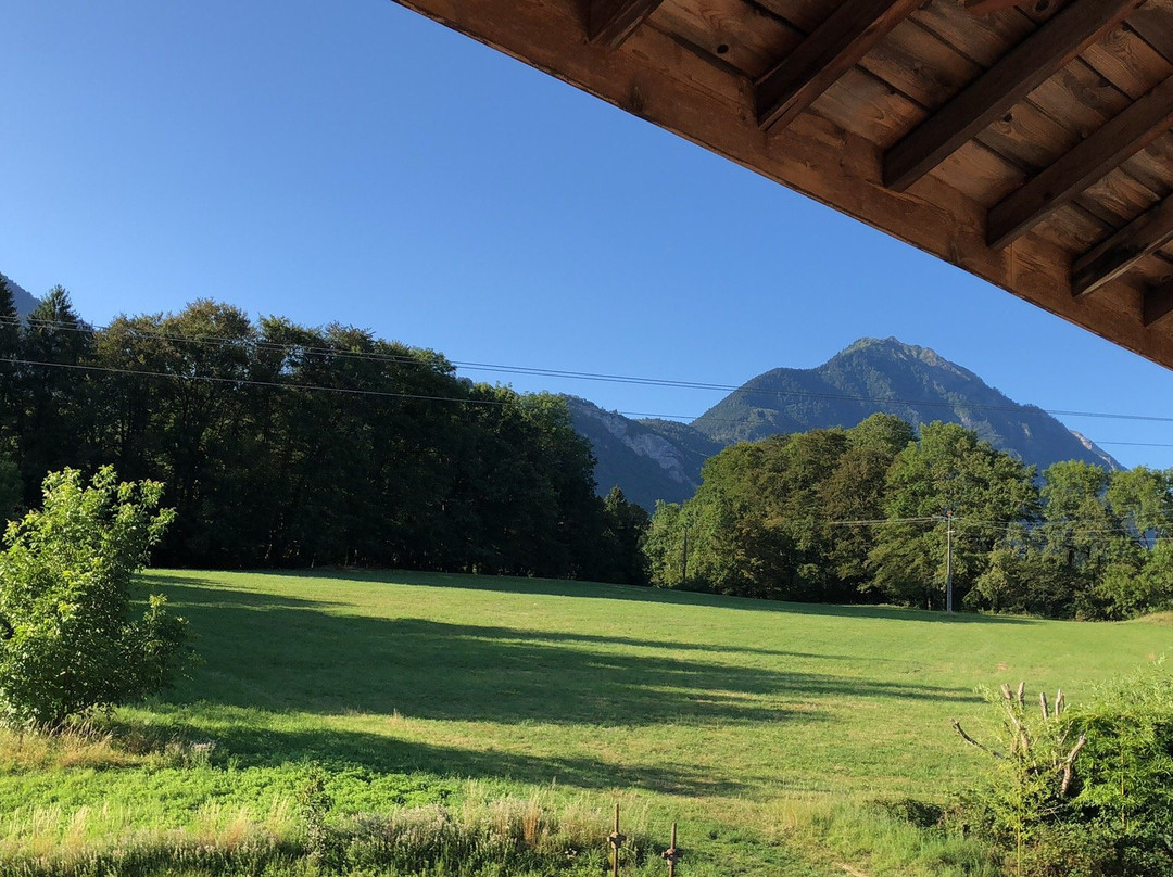 Domaine du Grand Cellier主图