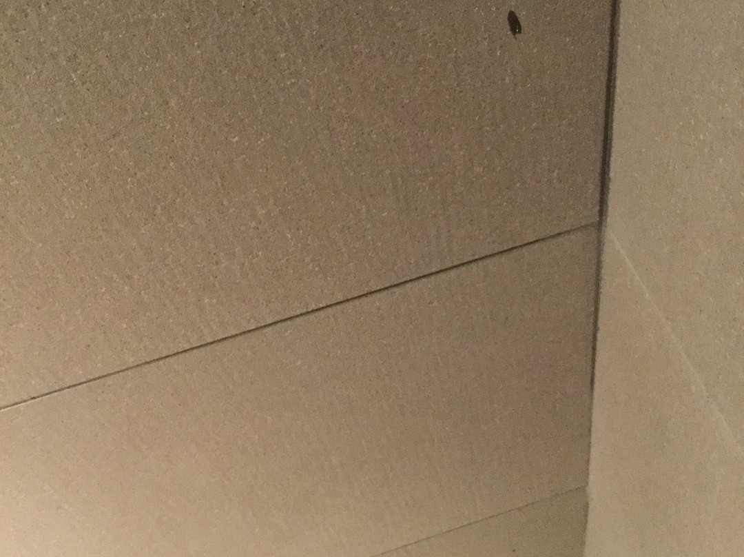 埃克斯蒙克洛亚酒店主图