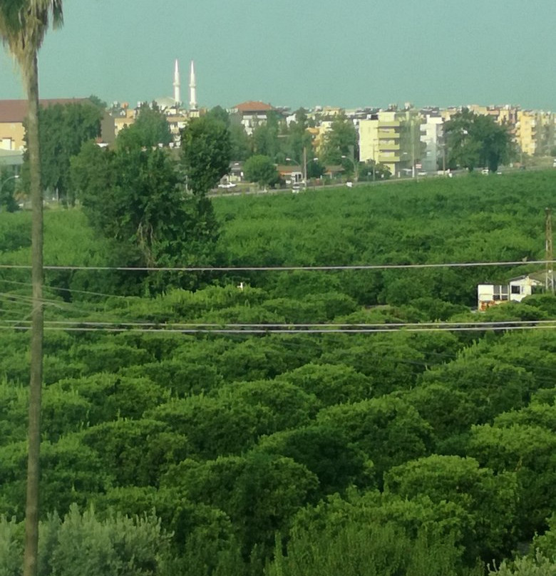 Fourway Hotel SPA & Restaurant主图