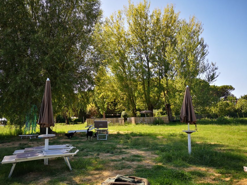 La Spiaggia di Pippo sul Trasimeno-佩鲁贾必去景点