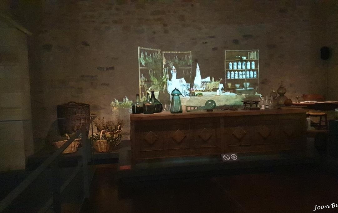 Monestir de Santa Maria de Vallbona景点图片