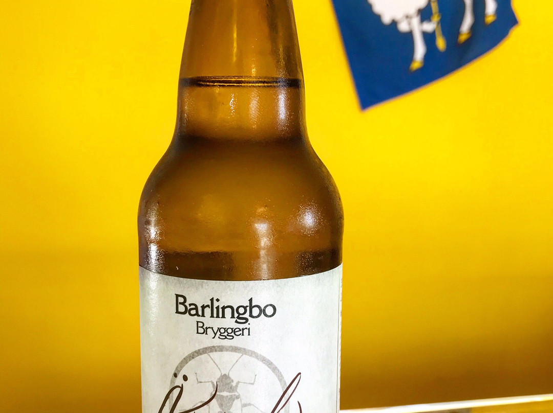 Bike Rental Faro-Faro必去景点