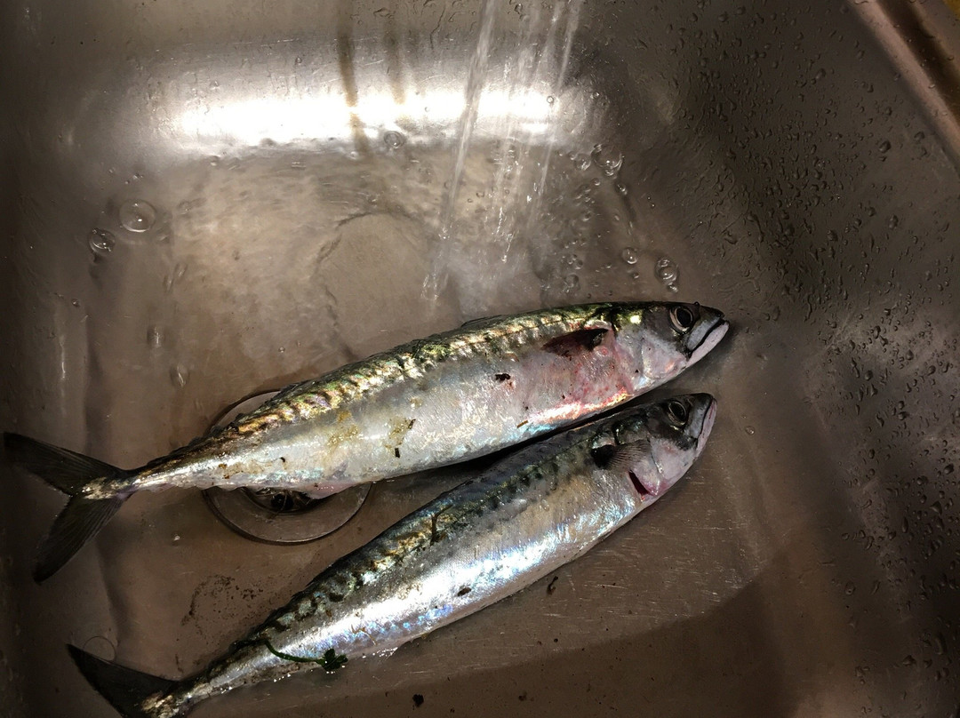 Ultimate Angler-Girvan必去景点