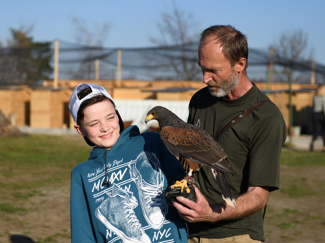 Penthea.org-布拉格必去景点