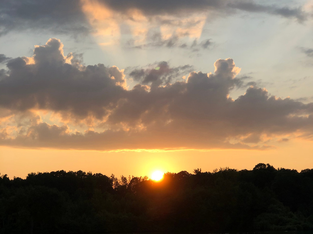 The Lodge at Natchez Trace主图